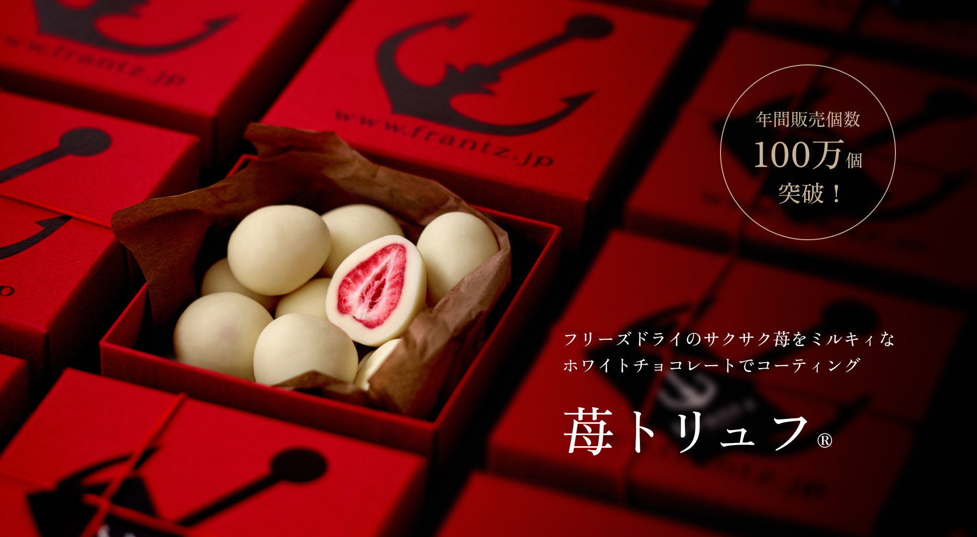 フリーズドライのサクサク苺をミルキィなホワイトチョコレートでコーティング　苺トリュフ